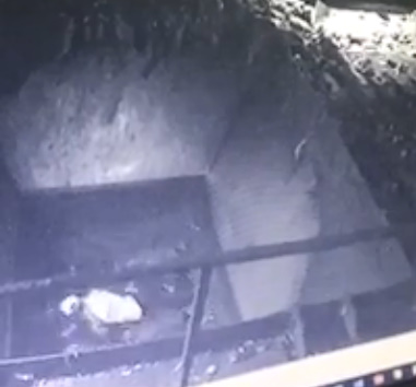 Worker Dies in Tire Shredder at Recycling Plant