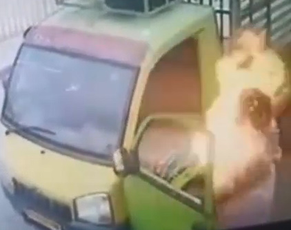 Man Sets Himself On Fire Then Quickly Changes His Mind