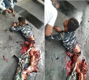 HOLY SHIT! Cut in Half and Still Very Alive