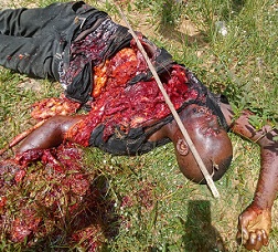 Police Officer Killed In Grenade Explosion {Multiples Angles}