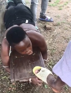 Woman Tied to a Bench and Flogged for Thievery 