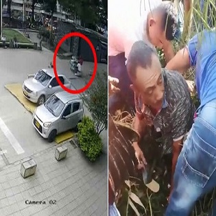 Two Men Crushed By Falling Tree In Colombia