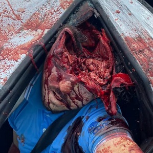 You Can Literally See Inside His Skull