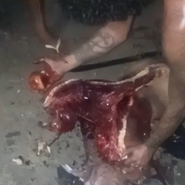 Brutality You Don't See Everyday