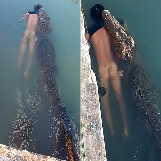 Huge Crocodile Attacks and Kills a Man In Mexico(New Angle)