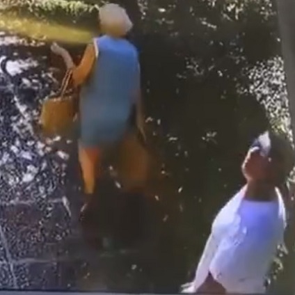 An 89-Year-Old Woman Brutally Assaulted by Three Minors In Cannes