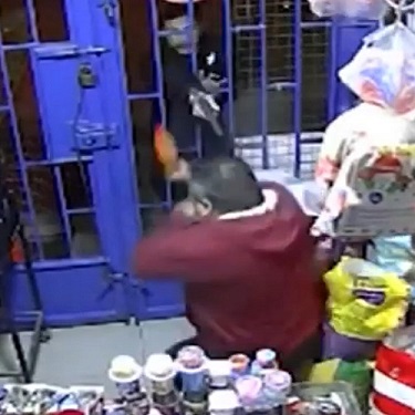 Ruthless Sicario Kills Winemaker In Own Store