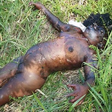 She Used To Have Nice Tits When She Was Alive