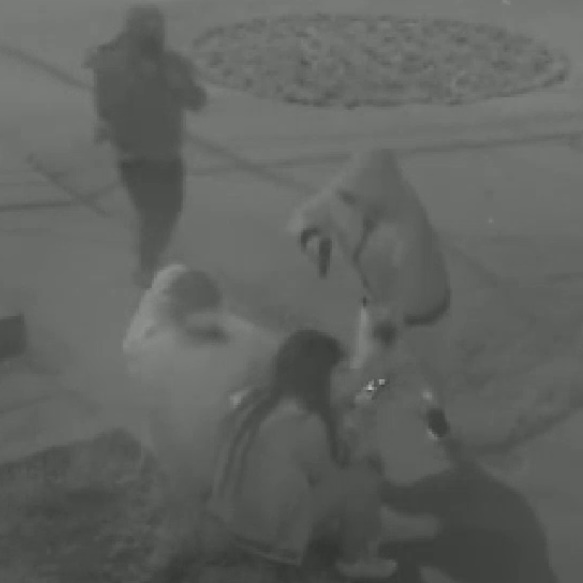 19YO Woman Fatally Shot By Cellphone Thieves In Peru