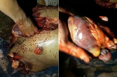  Brazilian Thugs Rip Out Heart Of The Rival 