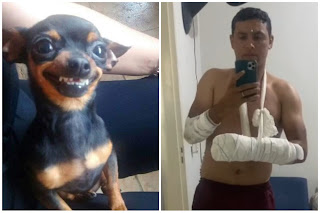 This Dog Won't Go to Heaven 