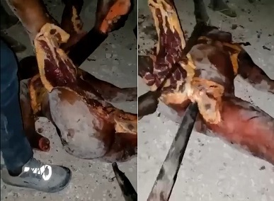 GRUESOME: Woman Crudely Dismembered In Haiti