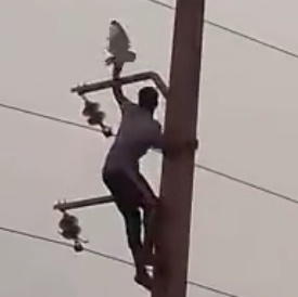 Moron Chasing a Pigeon Fries Then Drops to Ground