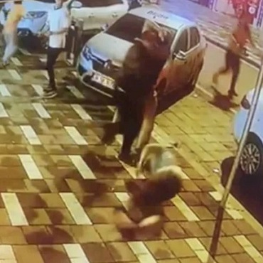 That's One Good Way to Outrun the Earthquake