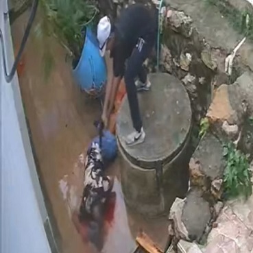 Sicario Shoots Man In The Head Leaving Him Bleeding