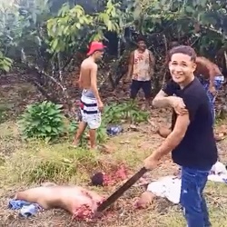 Ecuadorian Traffickers Opens Up the Butcher Shop