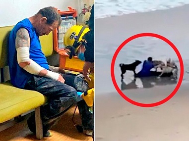 Dog Pack Attacks Man In Tijuana, Baja California.