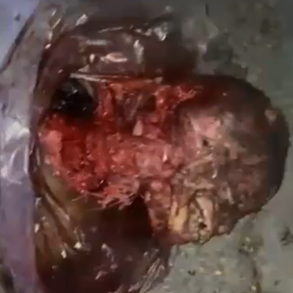 Opening Up The Butchershop In Haiti