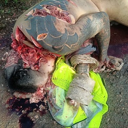 Absolutely Gruesome Aftermath Of Double Execution By Ecuadorian Gang