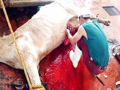 `Welcome to the world, son of a bitch