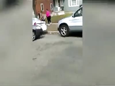 chimpanzees in distress 