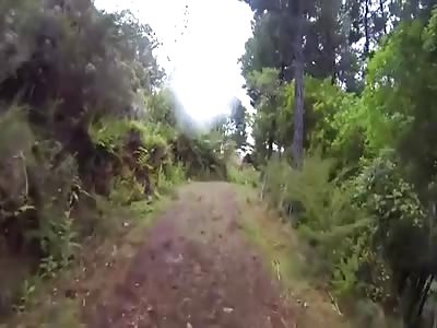 Angry Rams Donâ€™t Tolerate Trespassers!