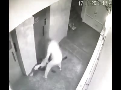 THE FIVE DIFFERENT FLAVORS OF SUCKER PUNCHING 