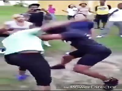 Just another chimpout