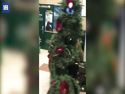 Shopper becomes aggressive after security guards try to search him