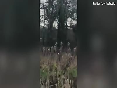 Huntsman on horseback beats saboteur in Ollerton