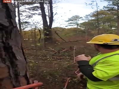 Huge Tree Branch Flying at Man is Straight out of Final Destination