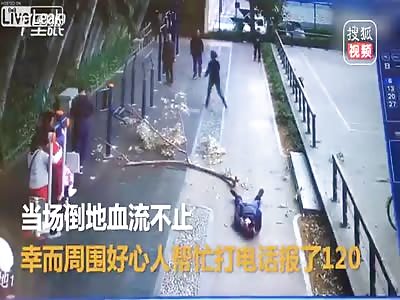 Tree branch falls onto a old man's head