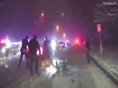 Murder suspect tased then shot on ground as he's attacked by K-9