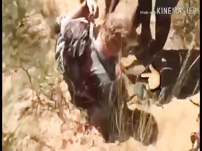 Shocking: Killer beast attacks compilation