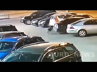 Would-be Assassin Blows Himself Up Attempting to Plant Bomb Under Ukrainian Agent's Car