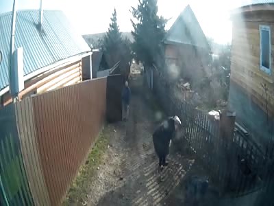  Fatal Falling Pole...