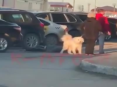 Russian Man gets Brutal Head Kick and Dies after an Argue Over Parking Lot