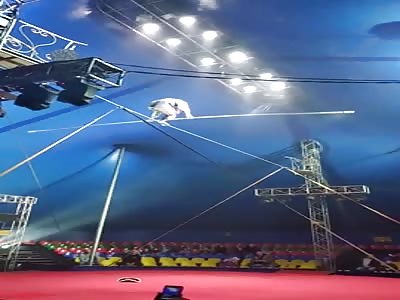 Circus Tightrope Fail