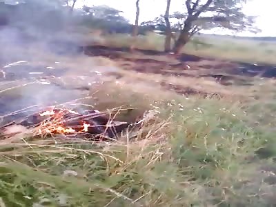 WAR AFTERMATH....TOTAL CARNAGE