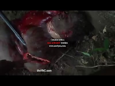 Murder Collection : Episode 1