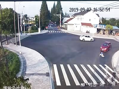 A very good boy learns from Jaywalker