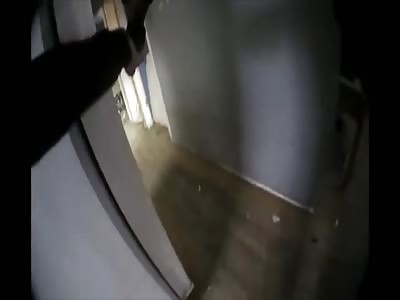 Detroit cop fatally shooting two dogs