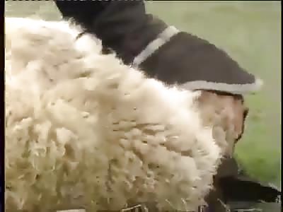 tradition in Mongolian