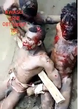 HOLY SHIT: Group BBQ and Torture