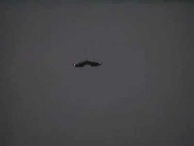 Black project aircraft