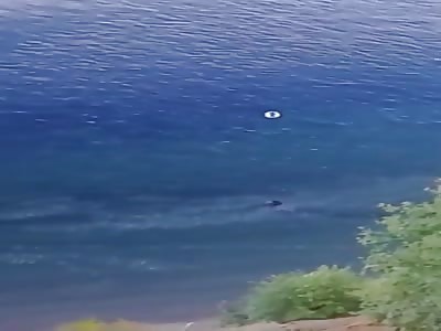 Clear orb skims water, then goes in!