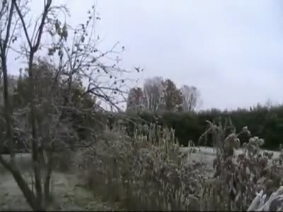 OMG, is that an alien?!