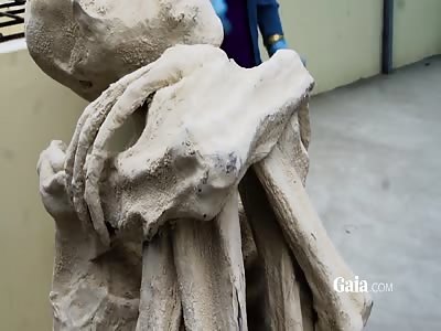 Nazca Alien Mummies
