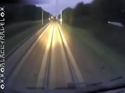 deer hit by train