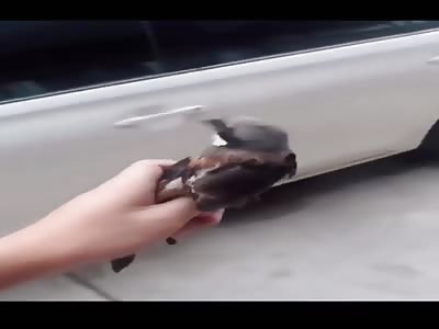  death is the only way out to freedom